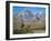 Camp Independence, Colorado, 1873-Albert Bierstadt-Framed Giclee Print