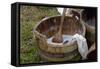 Camp Laundry in a Bucket at a Reenactment on the Yorktown Battlefield, Virginia-null-Framed Stretched Canvas