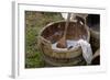 Camp Laundry in a Bucket at a Reenactment on the Yorktown Battlefield, Virginia-null-Framed Giclee Print