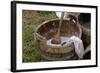 Camp Laundry in a Bucket at a Reenactment on the Yorktown Battlefield, Virginia-null-Framed Giclee Print