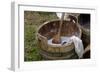 Camp Laundry in a Bucket at a Reenactment on the Yorktown Battlefield, Virginia-null-Framed Giclee Print