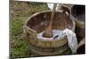 Camp Laundry in a Bucket at a Reenactment on the Yorktown Battlefield, Virginia-null-Mounted Giclee Print