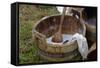 Camp Laundry in a Bucket at a Reenactment on the Yorktown Battlefield, Virginia-null-Framed Stretched Canvas