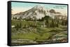 Camp of the Clouds, Mt. Rainier, Washington-null-Framed Stretched Canvas