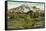 Camp of the Clouds, Mt. Rainier, Washington-null-Framed Stretched Canvas