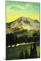 Camp of the Clouds, Paradise Park, Rainier - Rainier National Park-Lantern Press-Mounted Art Print