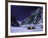 Camp One on Everest Southside-Michael Brown-Framed Photographic Print