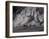 Camp One on Southside of Everest, Nepal-Michael Brown-Framed Photographic Print