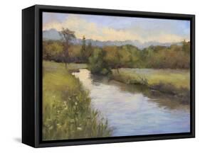 Camp Springs Farm-Mary Jean Weber-Framed Stretched Canvas
