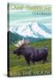 Camp Timberline, Colorado - Moose and Mountain-Lantern Press-Stretched Canvas