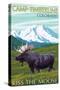 Camp Timberline, Colorado - Moose and Mountain-Lantern Press-Stretched Canvas