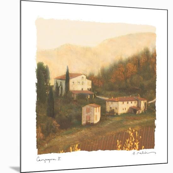 Campagna II-Amy Melious-Mounted Premium Giclee Print