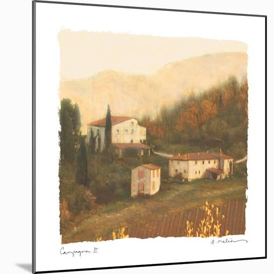 Campagna II-Amy Melious-Mounted Art Print
