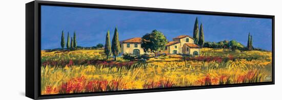 Campagna toscana-Daniela Corallo-Framed Stretched Canvas