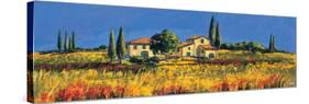 Campagna toscana-Daniela Corallo-Stretched Canvas