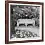 Campagnia I-Alan Blaustein-Framed Photographic Print