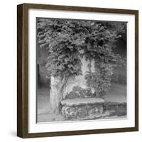 Campagnia II-Alan Blaustein-Framed Photographic Print