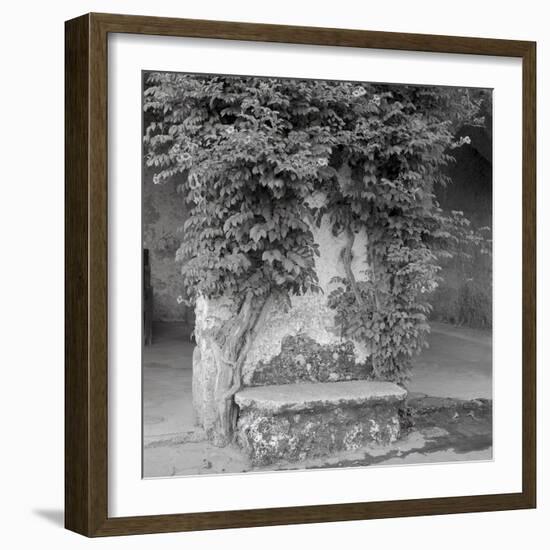 Campagnia II-Alan Blaustein-Framed Photographic Print