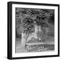 Campagnia II-Alan Blaustein-Framed Photographic Print