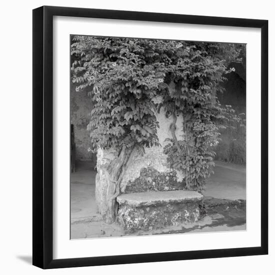 Campagnia II-Alan Blaustein-Framed Photographic Print