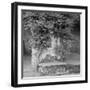 Campagnia II-Alan Blaustein-Framed Photographic Print