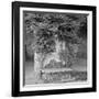 Campagnia II-Alan Blaustein-Framed Photographic Print