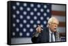 Campaign 2016 Trail - Bernie Sanders-Jacquelyn Martin-Framed Stretched Canvas