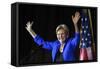 Campaign 2016 Warren-null-Framed Stretched Canvas