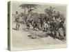 Campaigning in Rhodesia, a Ghastly Relic of Matabele Warfare-Charles Edwin Fripp-Stretched Canvas