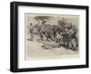 Campaigning in Rhodesia, a Ghastly Relic of Matabele Warfare-Charles Edwin Fripp-Framed Premium Giclee Print