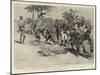 Campaigning in Rhodesia, a Ghastly Relic of Matabele Warfare-Charles Edwin Fripp-Mounted Giclee Print