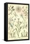 Campanariae-Ernst Haeckel-Framed Stretched Canvas