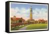 Campanile, LSU, Baton Rouge-null-Framed Stretched Canvas