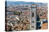 Campanile of Giotto and City View , Florence, Tuscany, Italy-Nico Tondini-Stretched Canvas