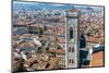 Campanile of Giotto and City View , Florence, Tuscany, Italy-Nico Tondini-Mounted Photographic Print