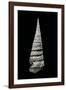 Campanile Symbolicum-Paul Starosta-Framed Photographic Print