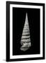 Campanile Symbolicum-Paul Starosta-Framed Photographic Print