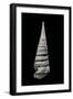 Campanile Symbolicum-Paul Starosta-Framed Photographic Print