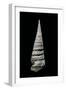 Campanile Symbolicum-Paul Starosta-Framed Photographic Print