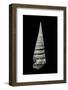 Campanile Symbolicum-Paul Starosta-Framed Photographic Print