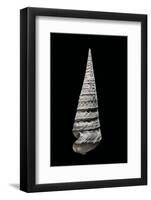 Campanile Symbolicum-Paul Starosta-Framed Photographic Print