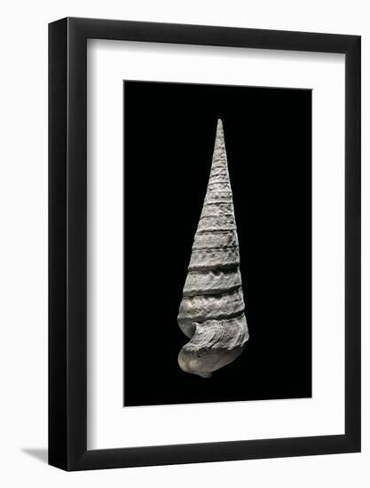 Campanile Symbolicum-Paul Starosta-Framed Photographic Print