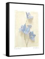 Campanula I-Amy Melious-Framed Stretched Canvas