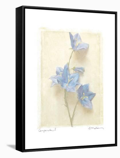 Campanula I-Amy Melious-Framed Stretched Canvas