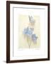 Campanula I-Amy Melious-Framed Art Print