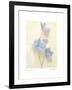 Campanula I-Amy Melious-Framed Art Print