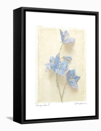 Campanula I-Amy Melious-Framed Stretched Canvas