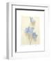 Campanula I-Amy Melious-Framed Art Print