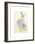 Campanula I-Amy Melious-Framed Art Print