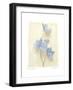 Campanula I-Amy Melious-Framed Art Print